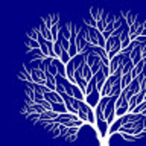 Meet your Posher, Nimra